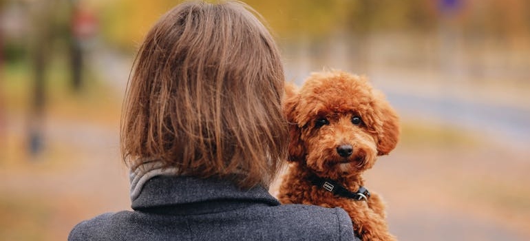 A person holding a dog